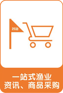 &#24320;&#20113;&#32593;&#39029;&#29256;