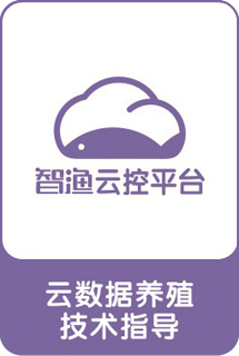 &#24320;&#20113;&#32593;&#39029;&#29256;